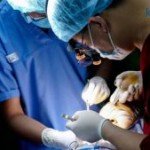 Nâng mũi bọc sụn: Những điều các Thẩm mỹ viện không bao giờ tiết lộ