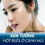 Nốt ruồi trên cánh mũi nữ và nam tốt hay xấu? Ý nghĩa nốt ruồi ở cánh mũi